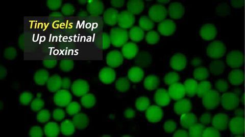 Microgel Mops Up Toxins Without Harming "Good" Bacteria