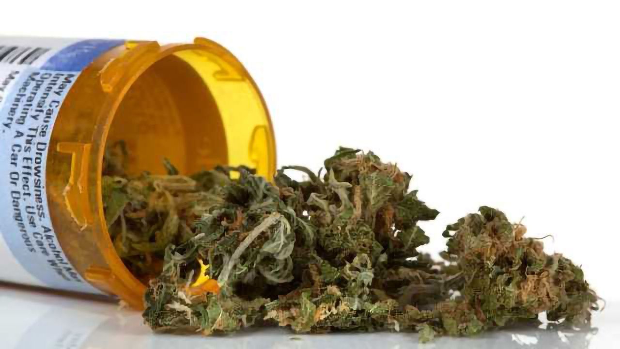 User-friendly, Simple GC's Make Waves in the Cannabis Industry