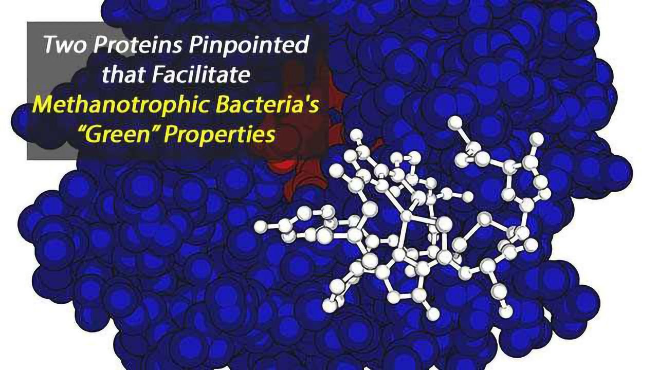 Bacteria Eats Greenhouse Gas with a Side of Protein