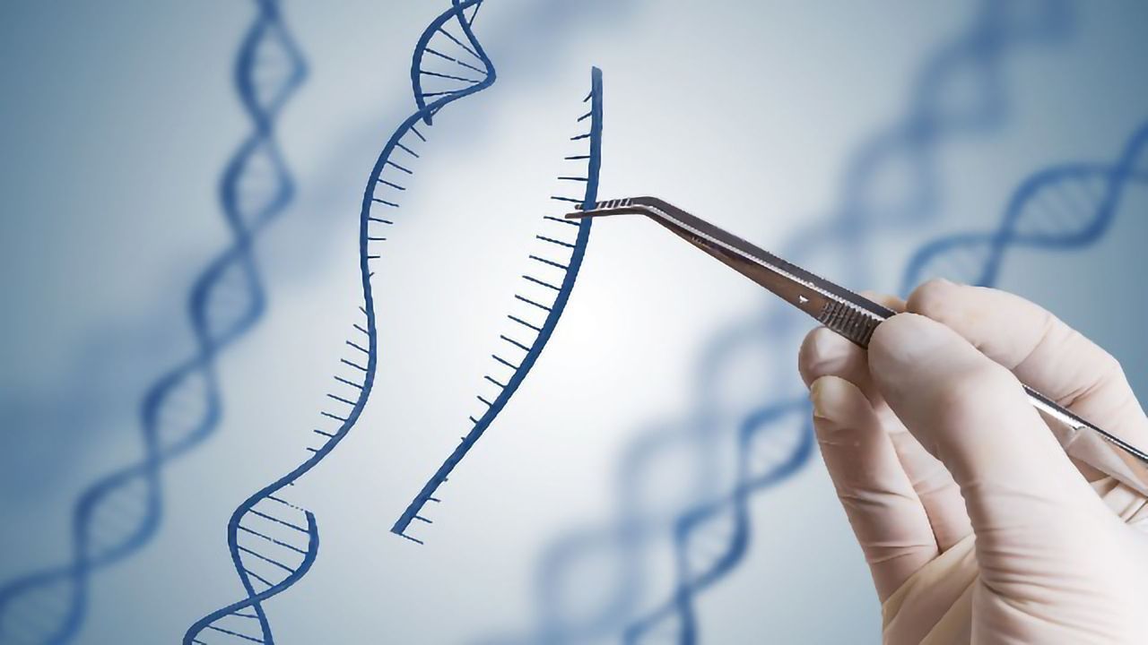 9 Top Tips for Success with CRISPR-Cas9