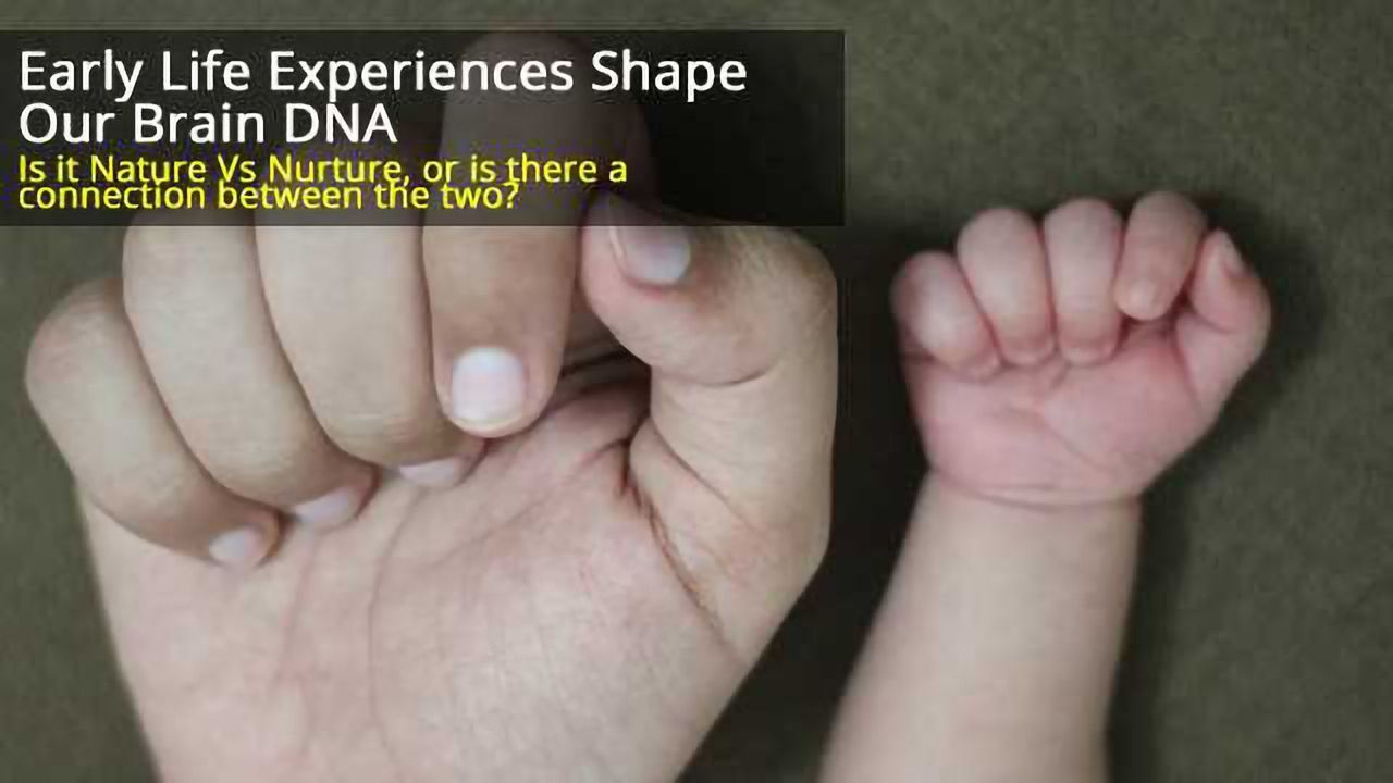 Early Life Experiences Alter DNA Structure in the Adult Brain