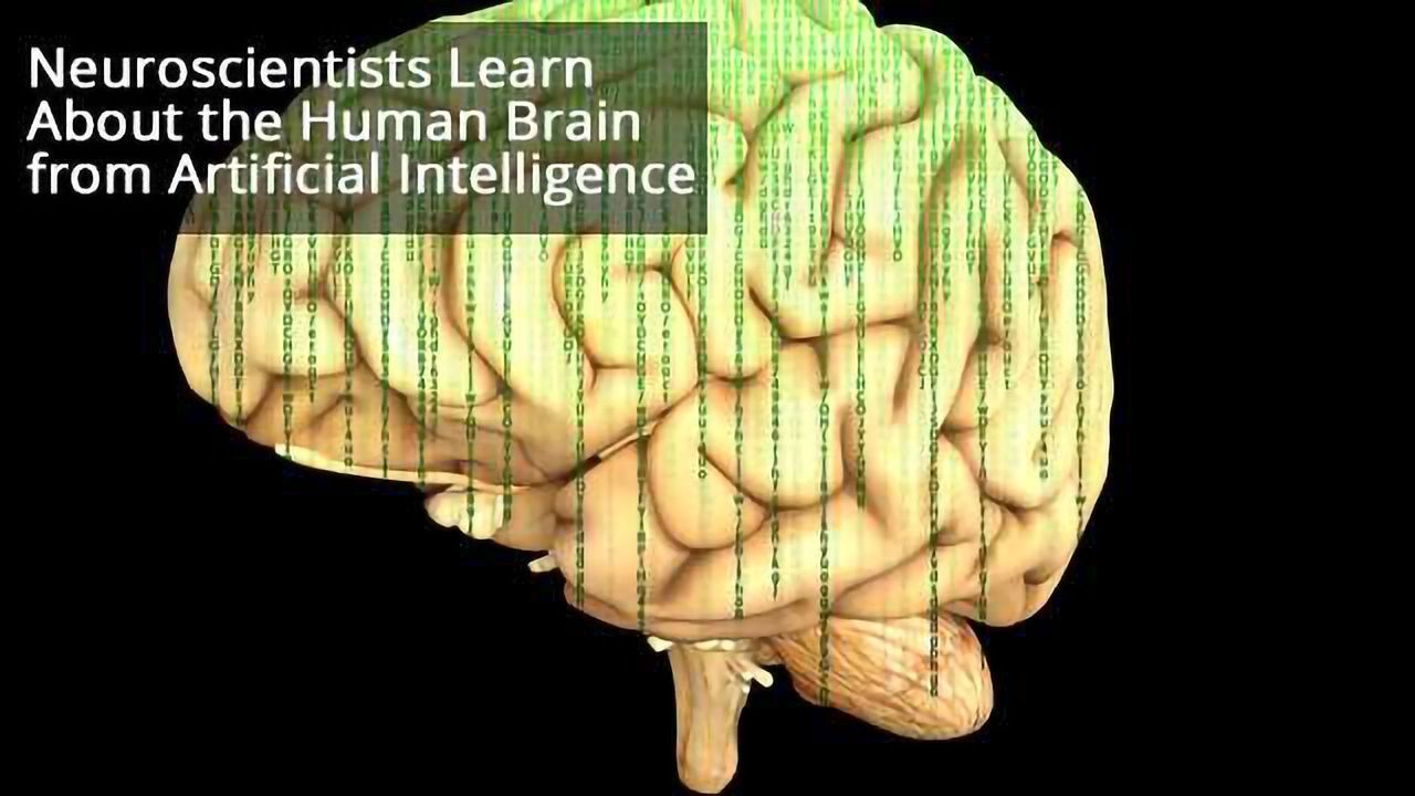Dissecting Artificial Intelligence To Enable Better Understanding of the Brain