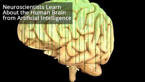 Dissecting Artificial Intelligence To Enable Better Understanding of the Brain