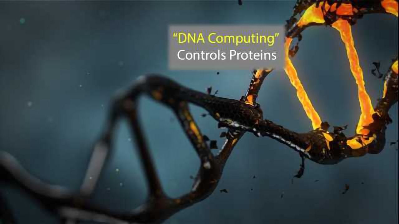 Biological Computers Can Control Cellular Proteins