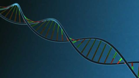 Horizon Discovery Introduces Whole Human Genome Arrayed Libraries to Support CRISPR Activation Screening