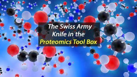 Swiss Army Knife of Protein Interactions
