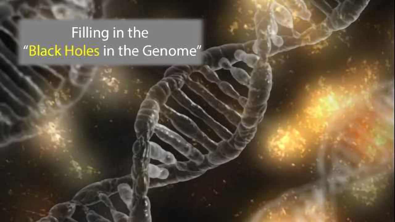 Filling the "Black Holes of the Genome"