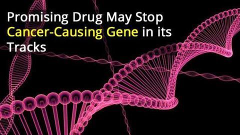 Drug Could Stop Cancer-Causing Gene in its Tracks