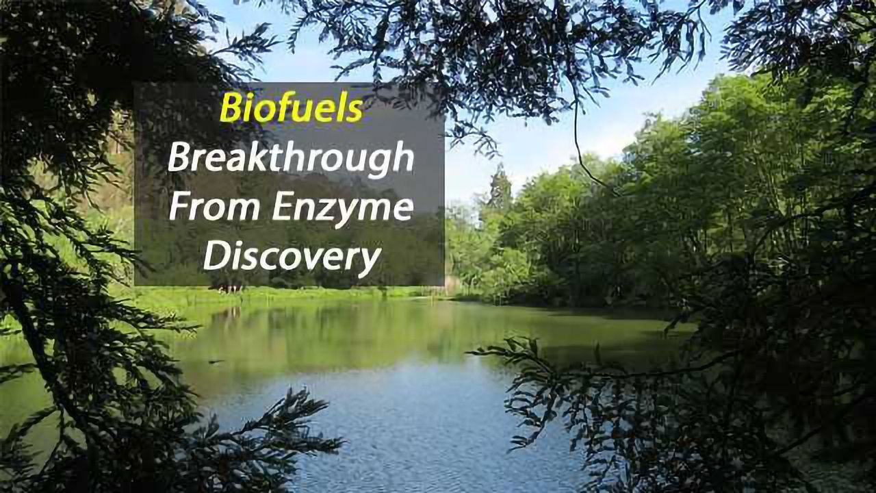 Sewage Sludge Leads to Biofuels Breakthrough