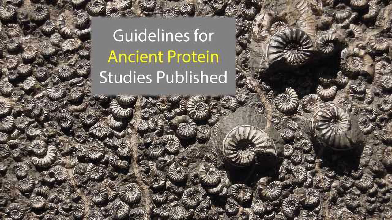 Guidelines for Study of Ancient Proteins Published