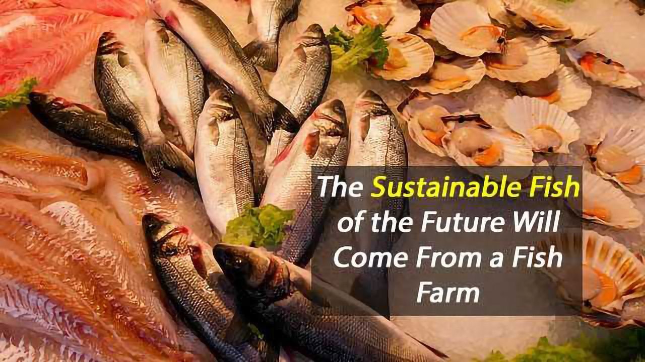 Fish Farming Necessary to Keep Up With World Demand