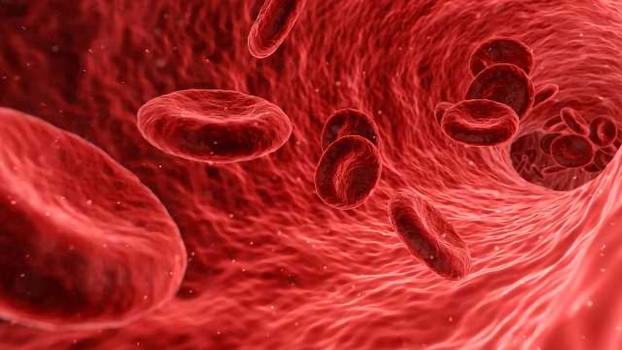 Blood Tests for Brain Diseases