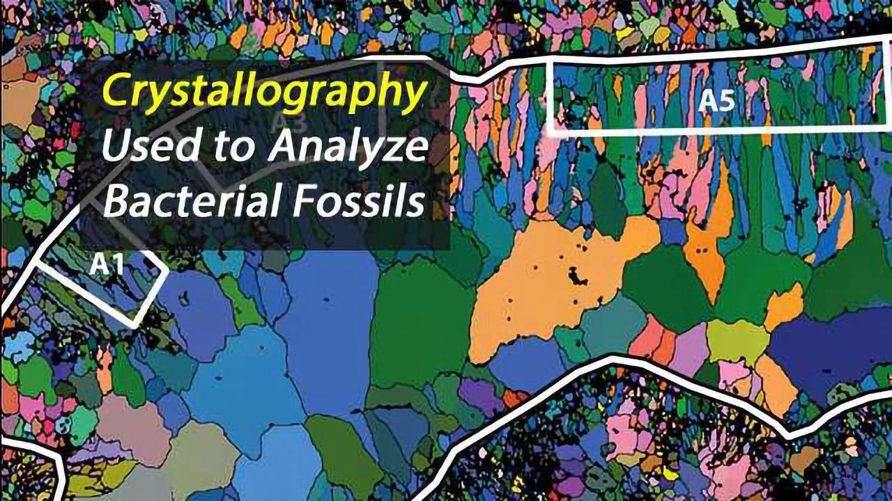 Crystallography Used to Analyse Fossils and Assign them to Microscopic Organisms