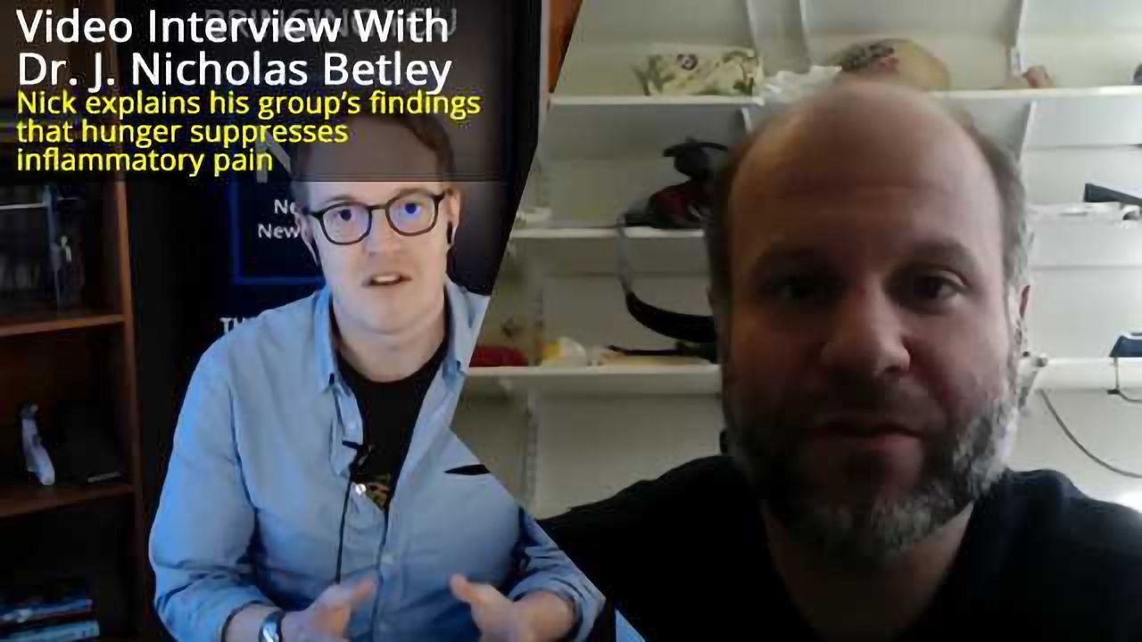 Hunger Suppresses Pain -Interview With Study Leader J.Nicholas Betley