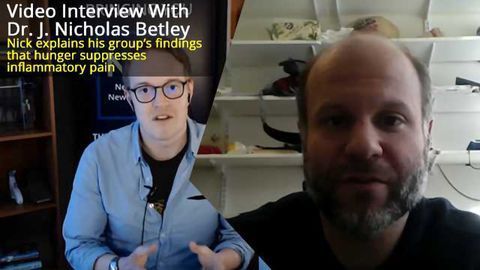 Hunger Suppresses Pain -Interview With Study Leader J.Nicholas Betley