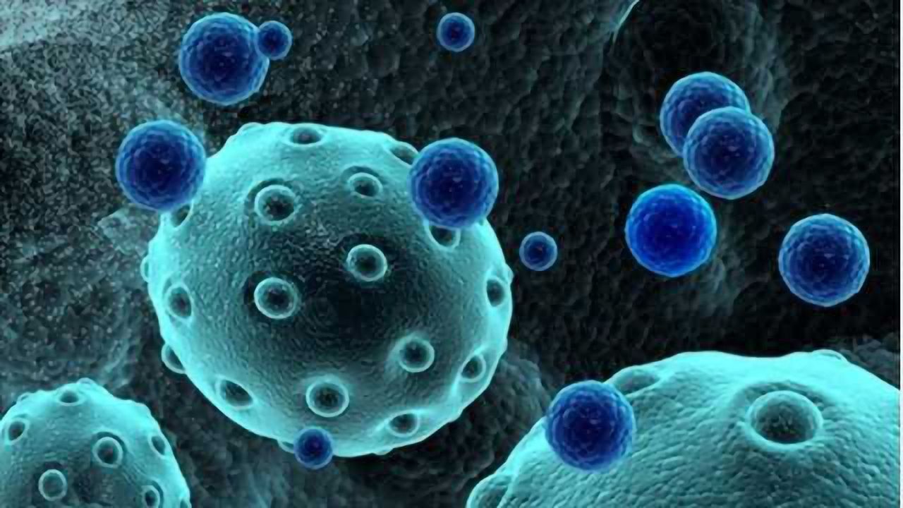 Comprehensive Toolkit for Exosome Research