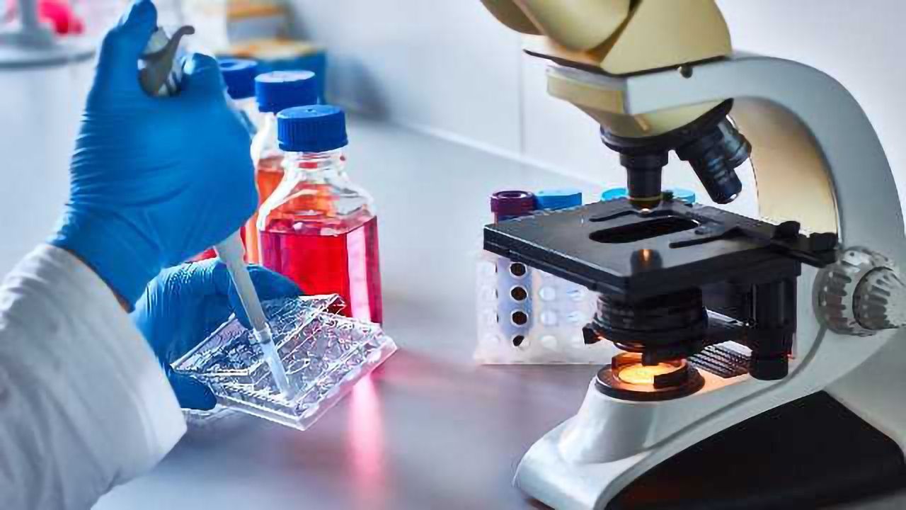 6 Tips for Optimal Transfection