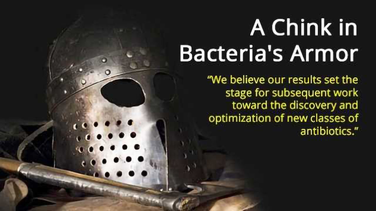 A Chink in Bacteria's Armor