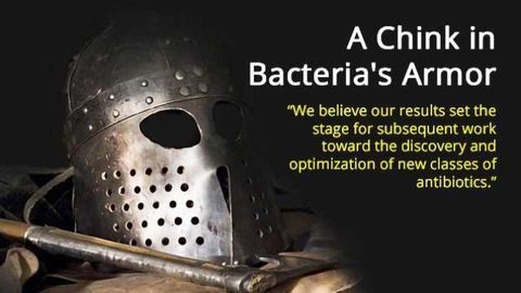 A Chink in Bacteria's Armor