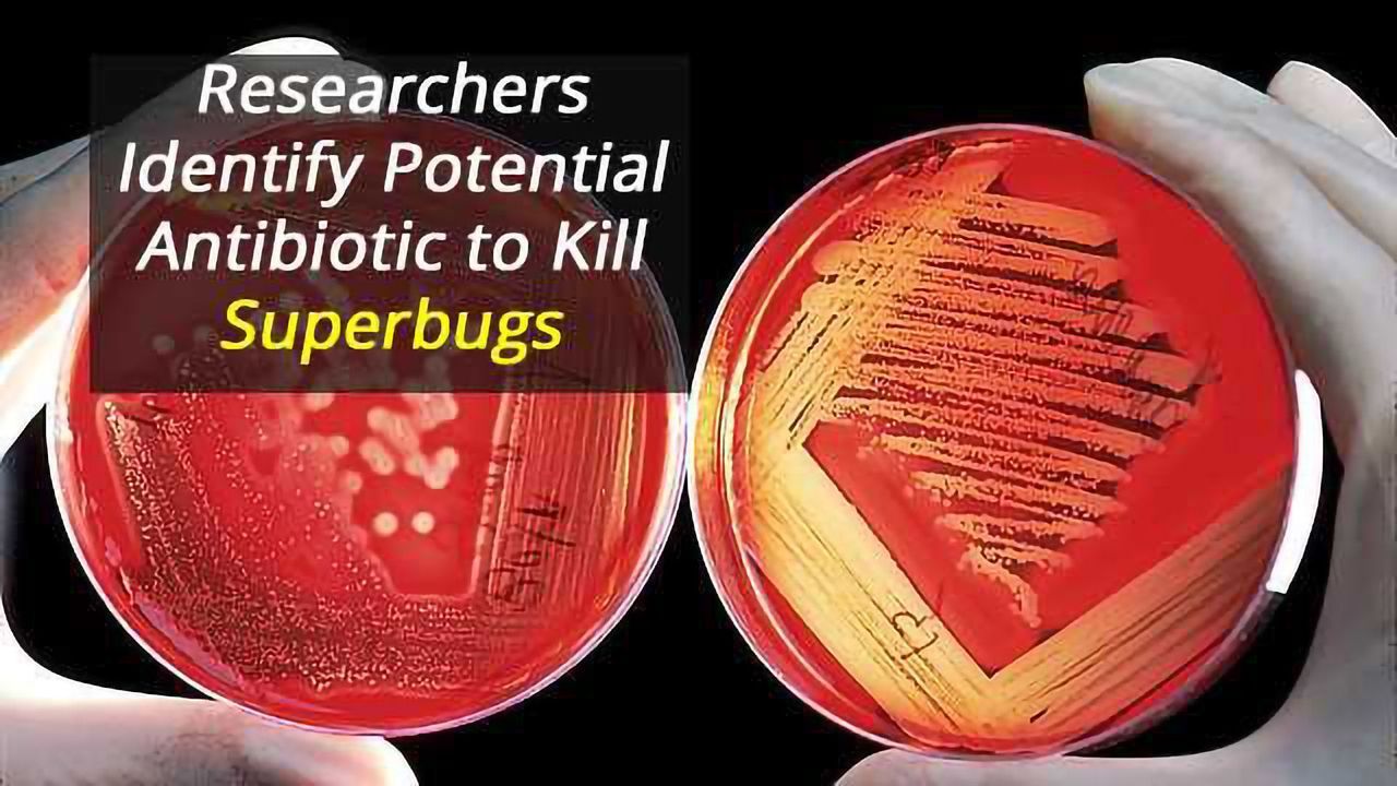 Superbug-Busting Antibiotic Shows Great Potential