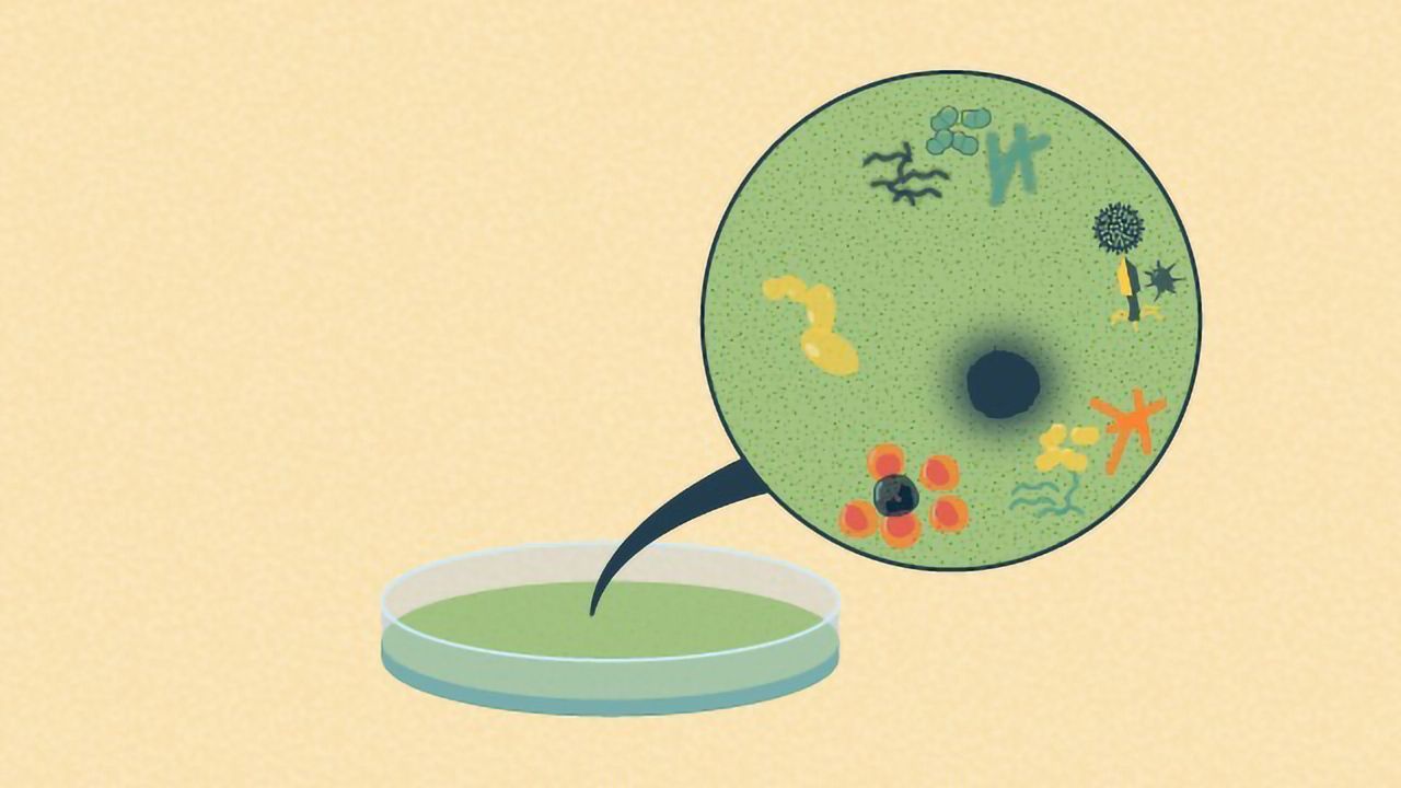 How To Prevent Cell Culture Contamination