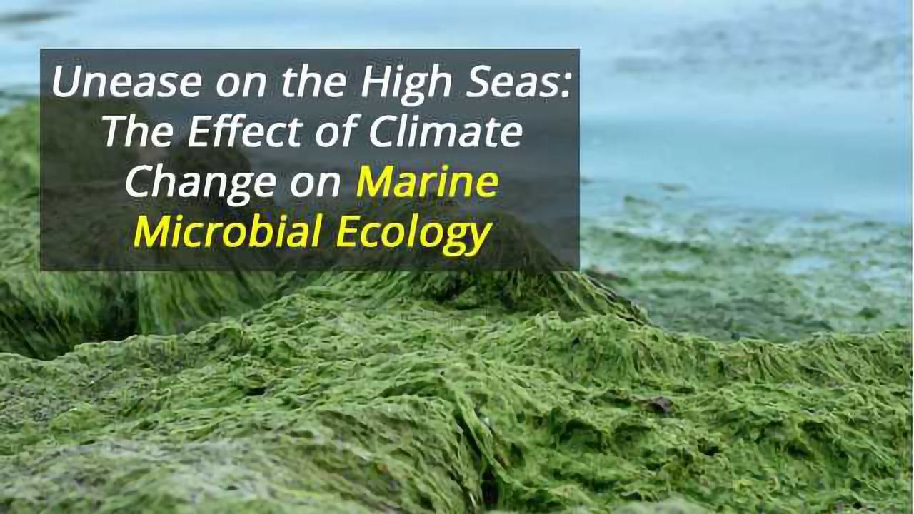 Unease on the High Seas: The Effect of Climate Change on Marine Microbial Ecology