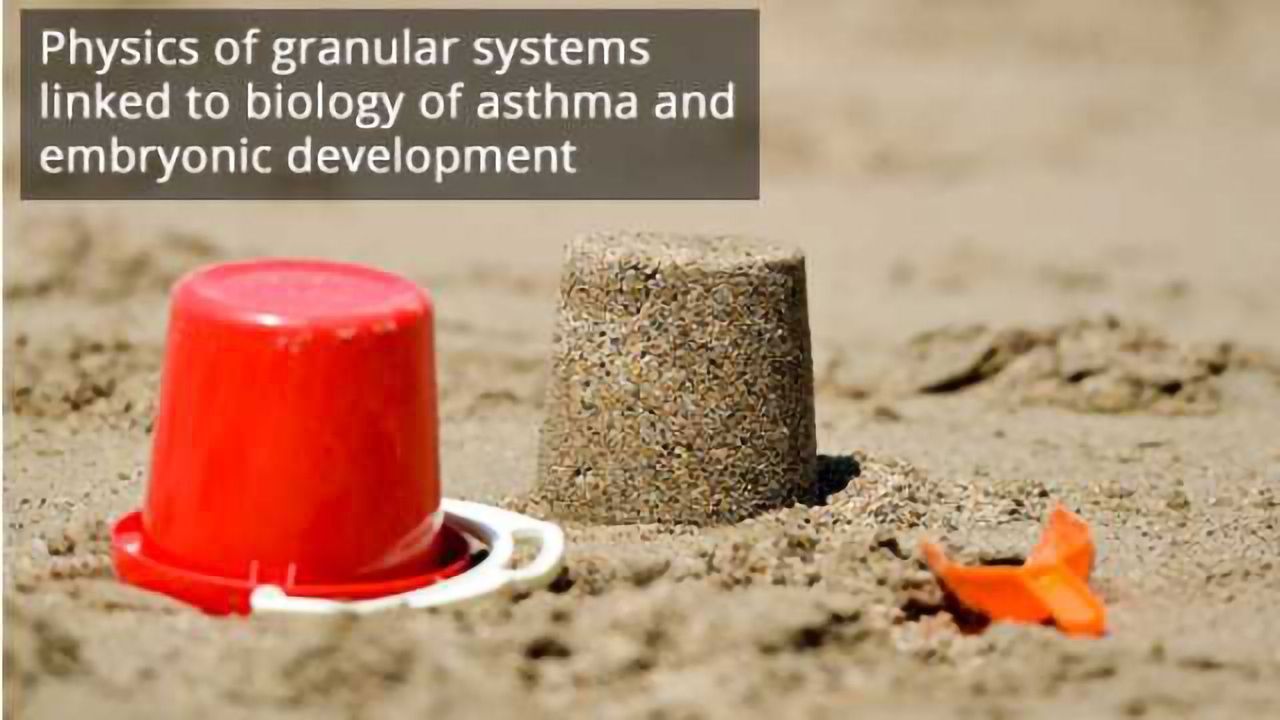 Sandcastles and Surprising Origins of Basic Cellular Functions