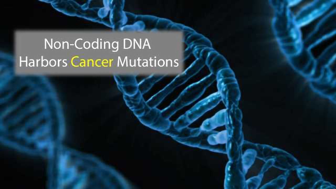 Non-Coding DNA Contains Cancer Mutations