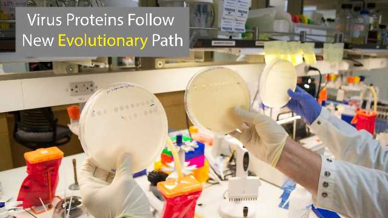 Virus Follows New Evolutionary Path