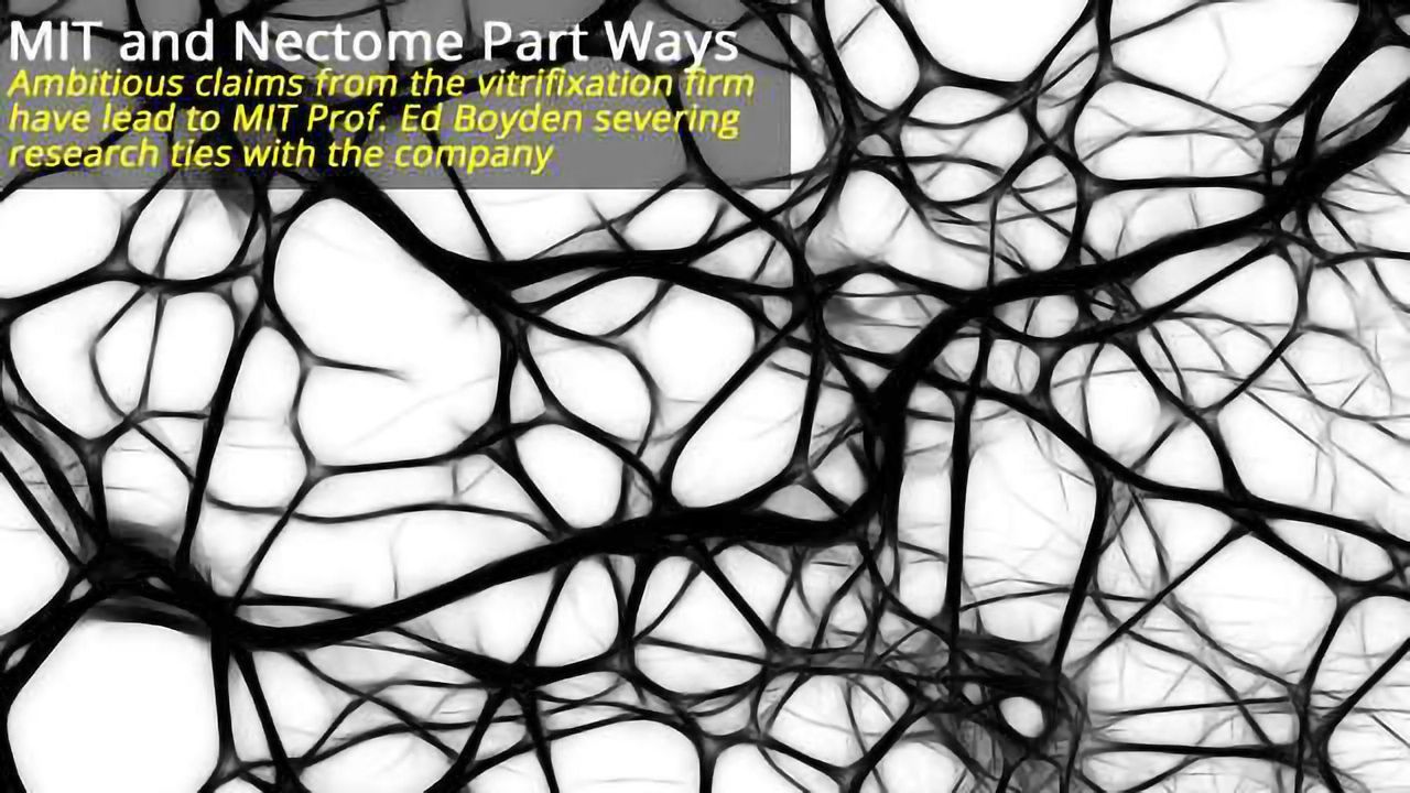 MIT and Nectome Part Company
