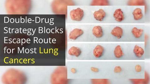 A One-Two Combo Punch for Lung Cancer