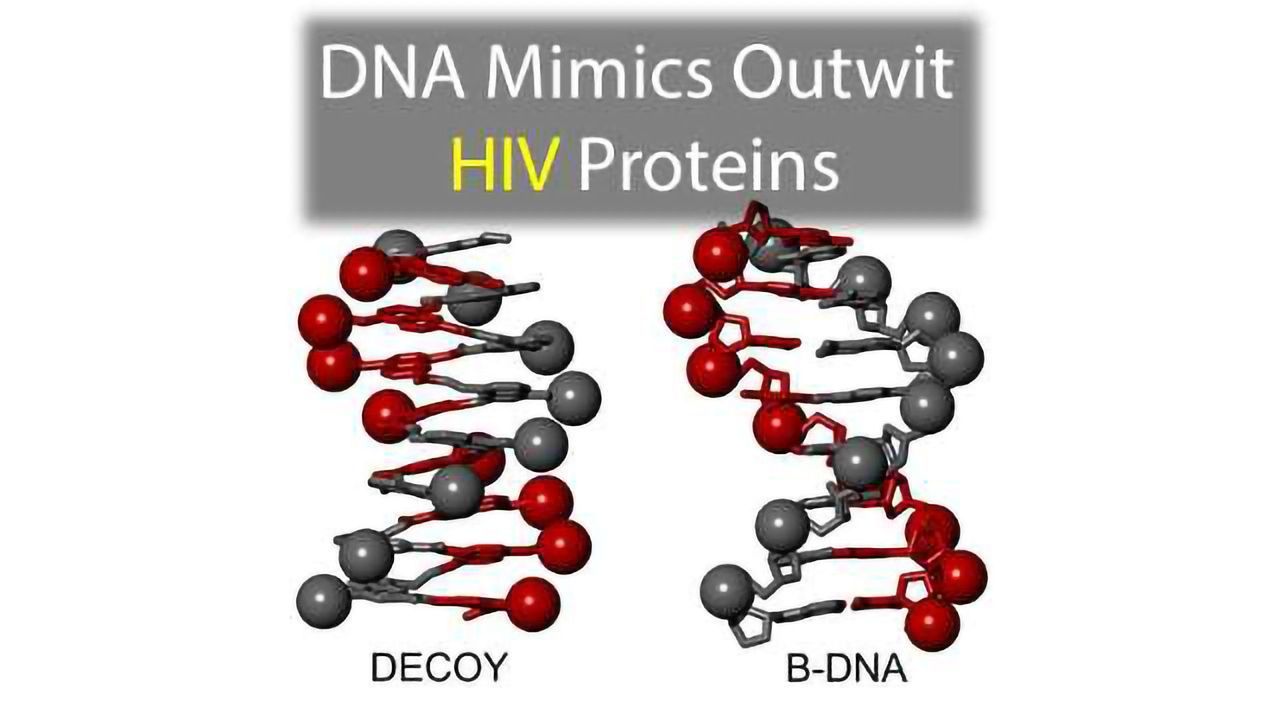 DNA Mimics Outwit HIV