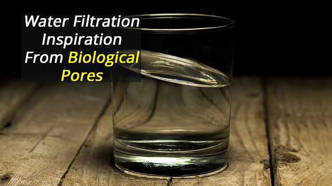 Artificial Bio-Inspired Membranes for Water Filtration