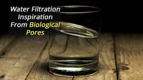 Artificial Bio-Inspired Membranes for Water Filtration