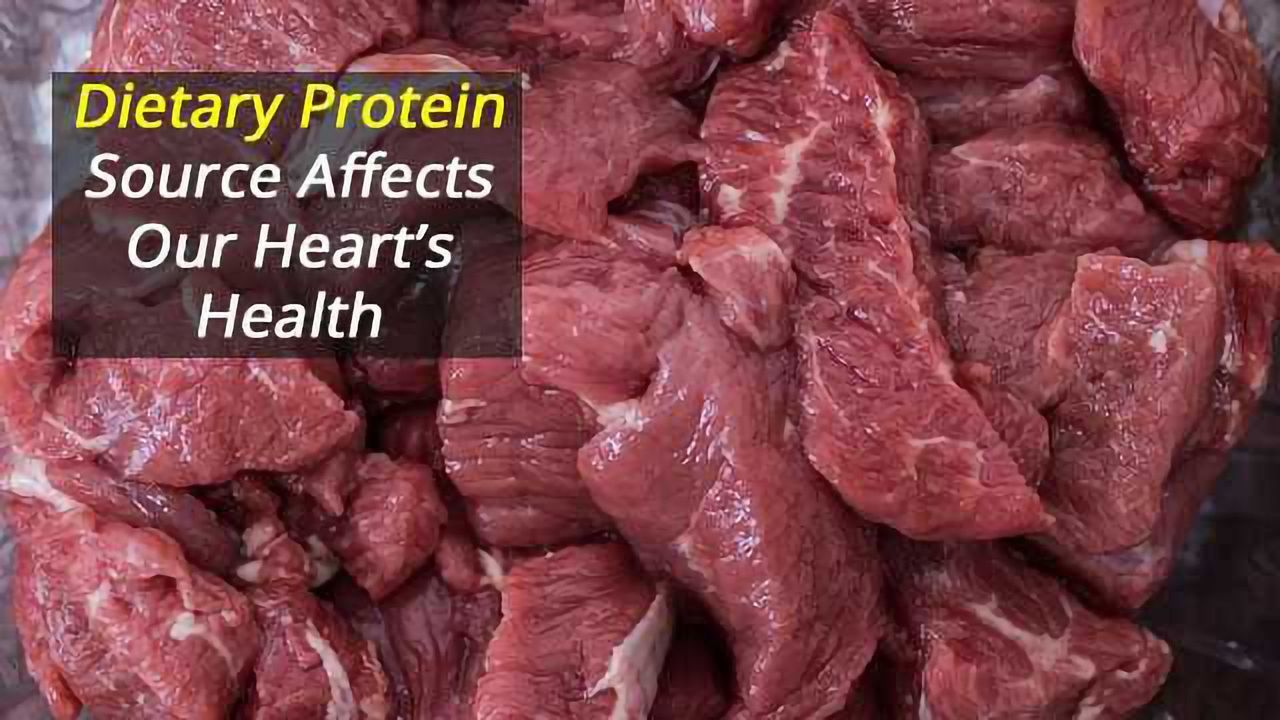 Dietary Protein Source Matters