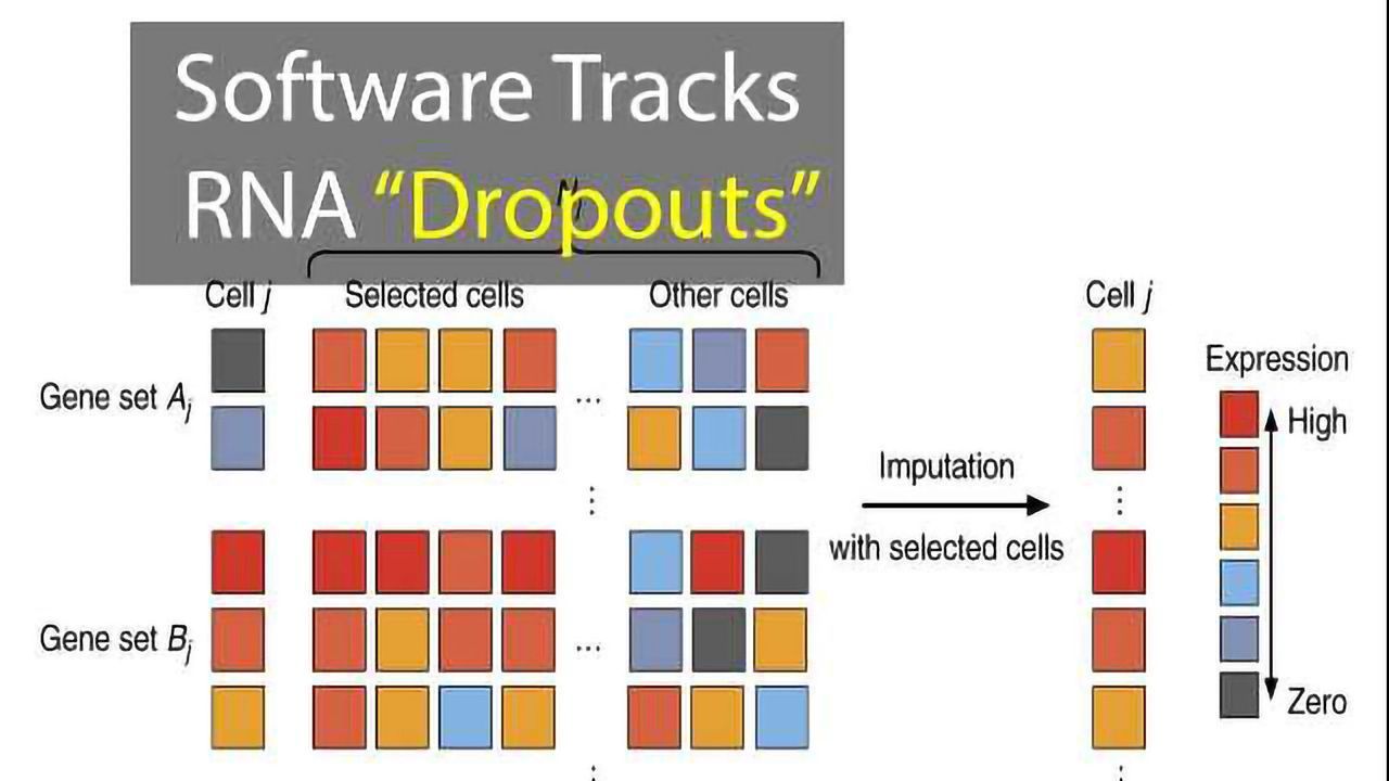 New Software Tool Tracks RNA "Dropouts"