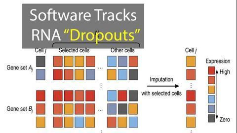 New Software Tool Tracks RNA "Dropouts"