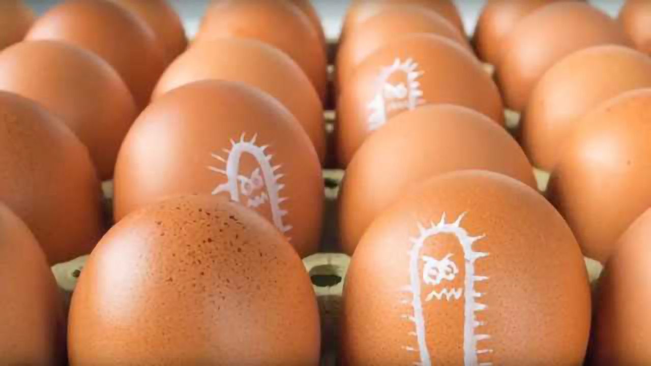 Eggshell Nanostructure and Implications for Food Safety