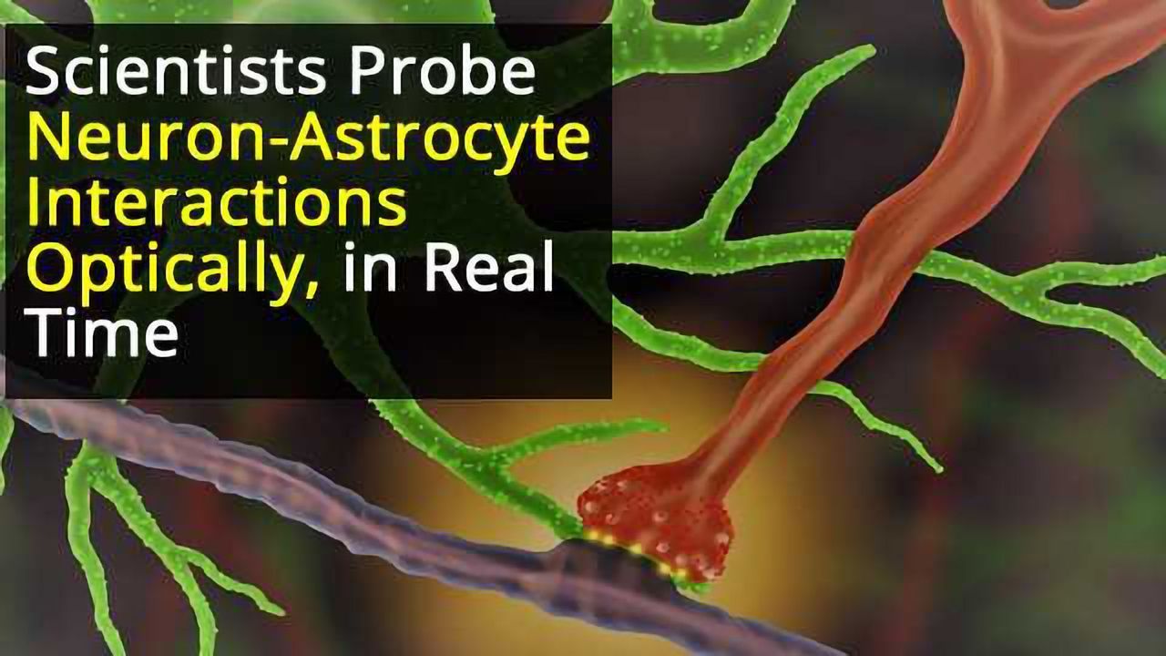 Optical Neuron-Astrocyte Proximity Assay at Synaptic Distance Scales