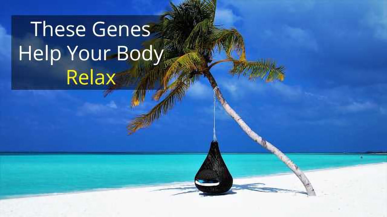 These "Relaxation Genes" May Help Lower High Blood Pressure
