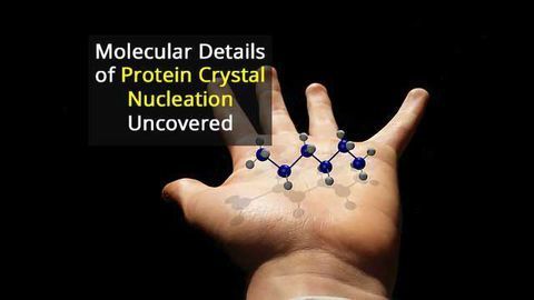 Protein Crystal Nucleation Revealed in Fine Detail