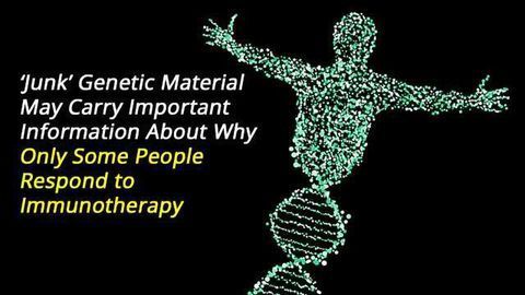 Genetic Material Once Considered ‘Junk’ Could Hold Key to Cancer Drug Response