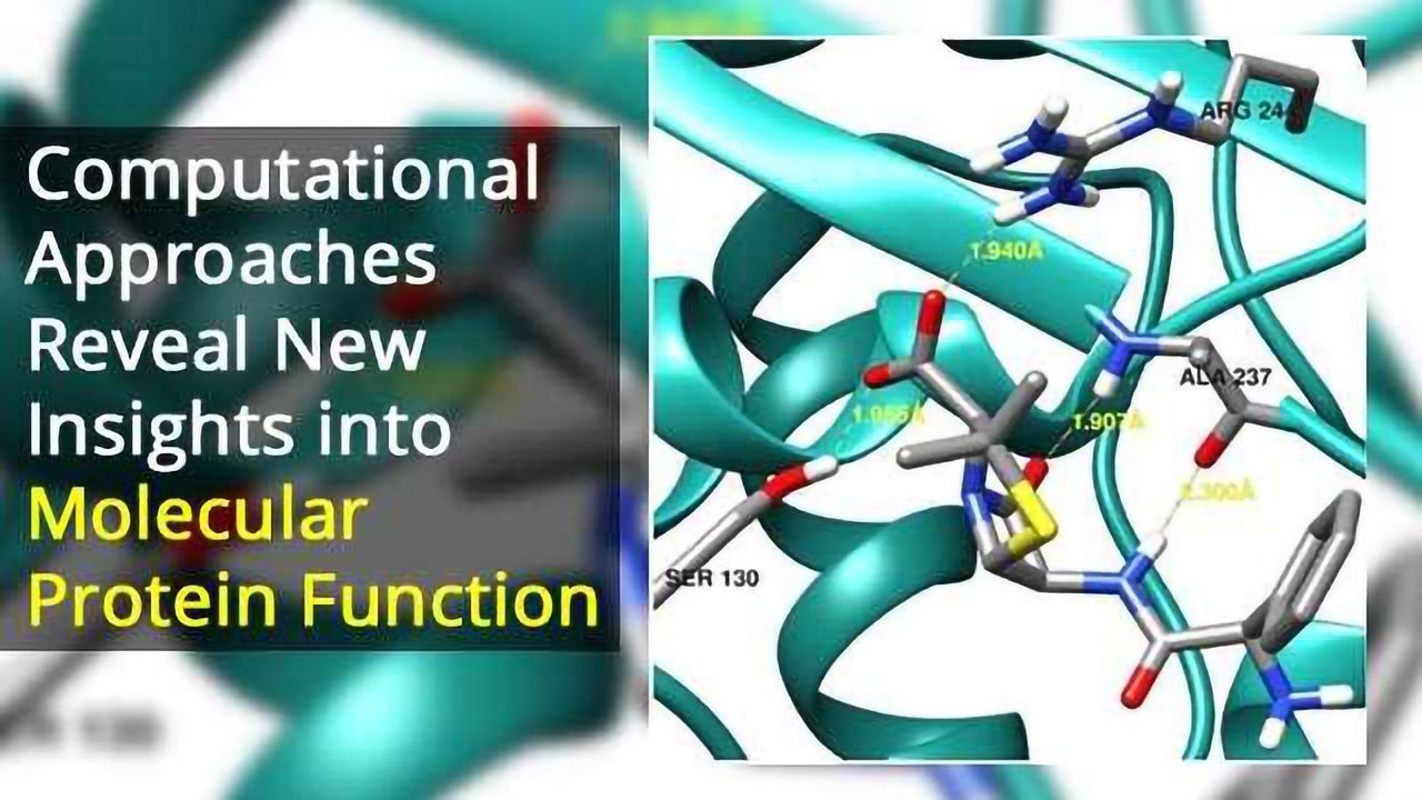 Computational Methods Provide Greater Understanding of Molecular Protein Function