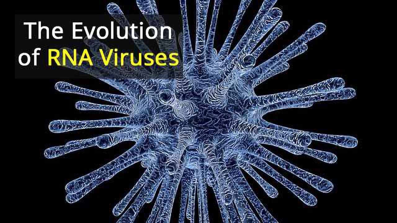 Backbone of RNA Viruses Uncovered