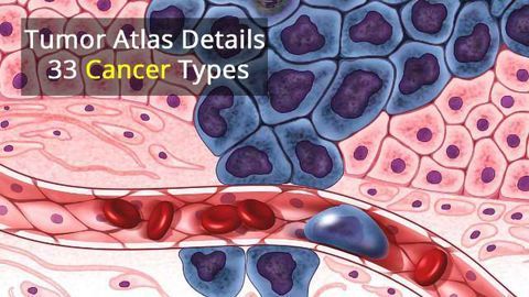 $300 Million Cancer Atlas Exposes Tumor Genomes