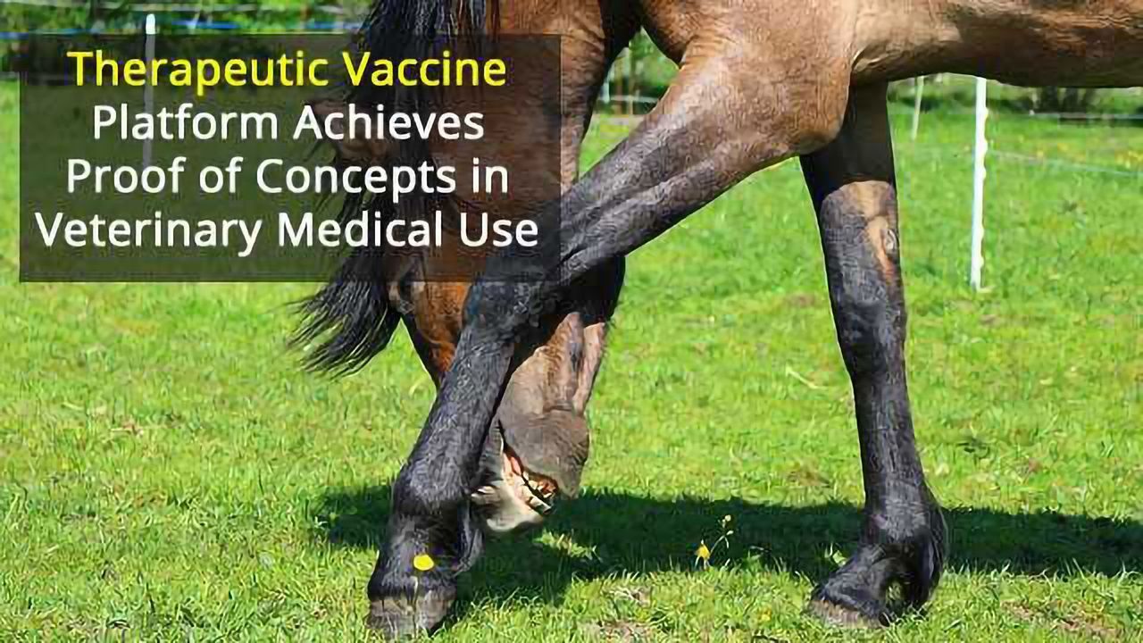 Allergy Vaccine For Animals Could Lead the Way For Humans
