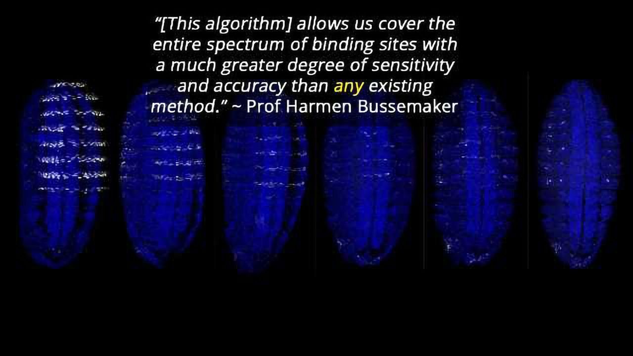 Genetic Algorithm Details DNA's Links to Disease