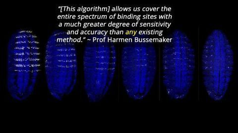 Genetic Algorithm Details DNA's Links to Disease