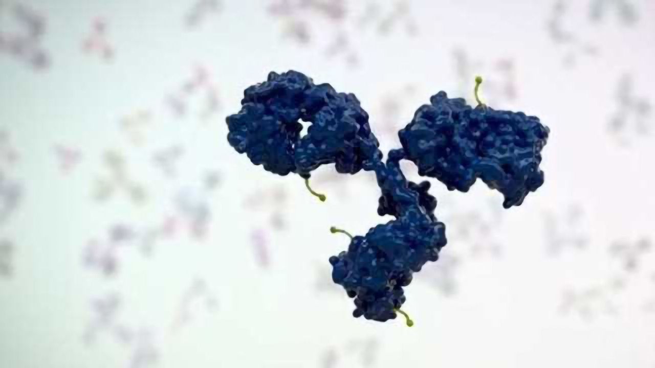 Therapeutic Antibodies: Antibody-Drug Conjugates