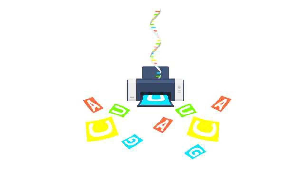 RNA-Seq：基础，应用和协议